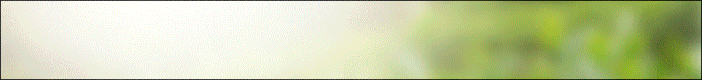 SUNRISE GREENS MARKETING PTE LTD