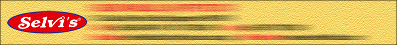 SELVI MILLS (S) PTE LTD