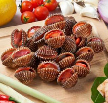 新鲜蛤粒 FRESH WHOLE COCKLES/半边壳 FRZ HALF SHELL COCKLES