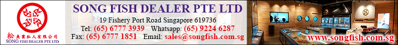 SONG FISH DEALER PTE LTD