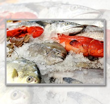 FISH & SEAFOOD SUPPLIER